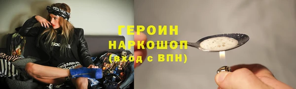 индика Гусь-Хрустальный