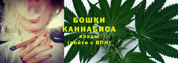 соль ск Саяногорск