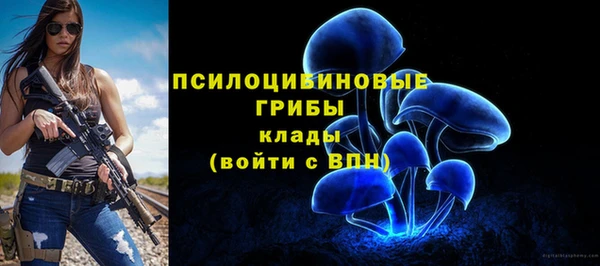 соль ск Саяногорск