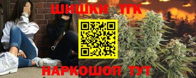 прущие крисы Аргун