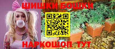 прущие крисы Аргун