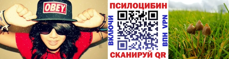 Галлюциногенные грибы Psilocybe  MEGA вход  Заинск 