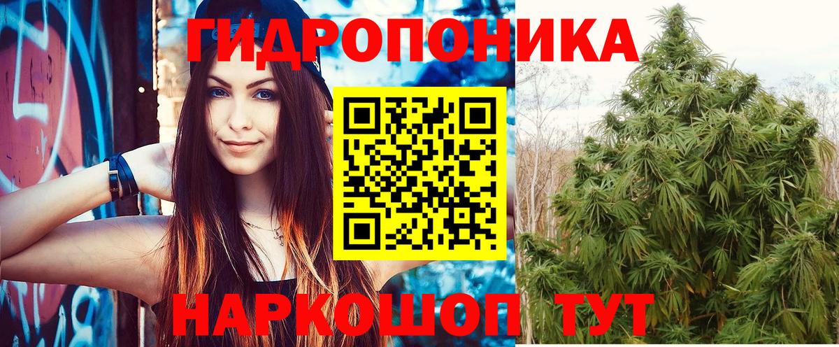 Каннабис сатива  Вход с VPN  Канабис план  Каннабис Amnesia  Заинск  Бошки марихуана индика 